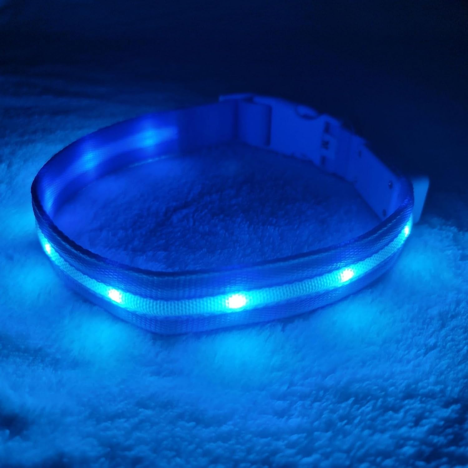 Brightest Light up Dog Collars - 1,000 Feet of Visibility - USB Rechargeable - Waterproof 