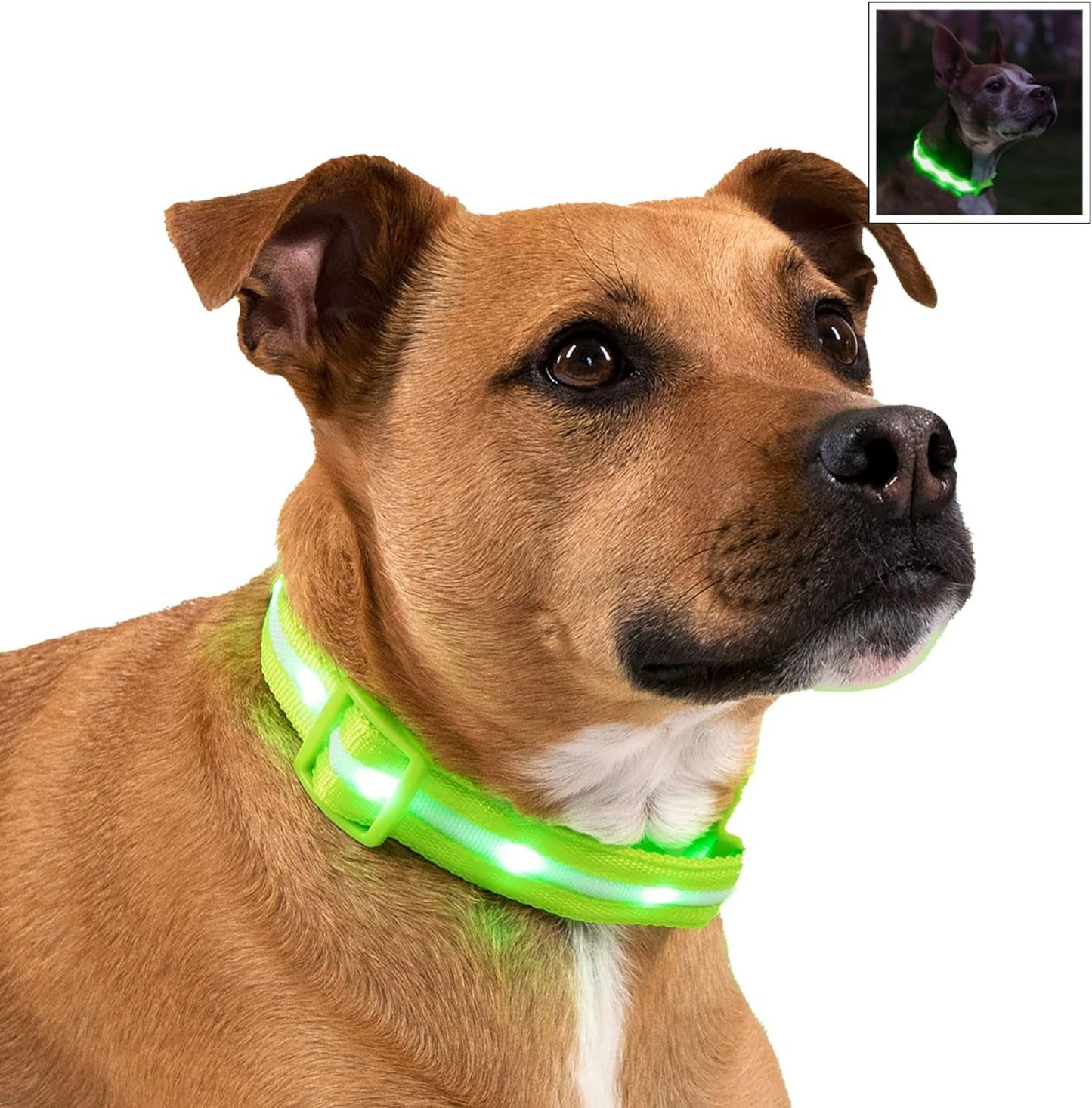 Brightest Light up Dog Collars - 1,000 Feet of Visibility - USB Rechargeable - Waterproof 