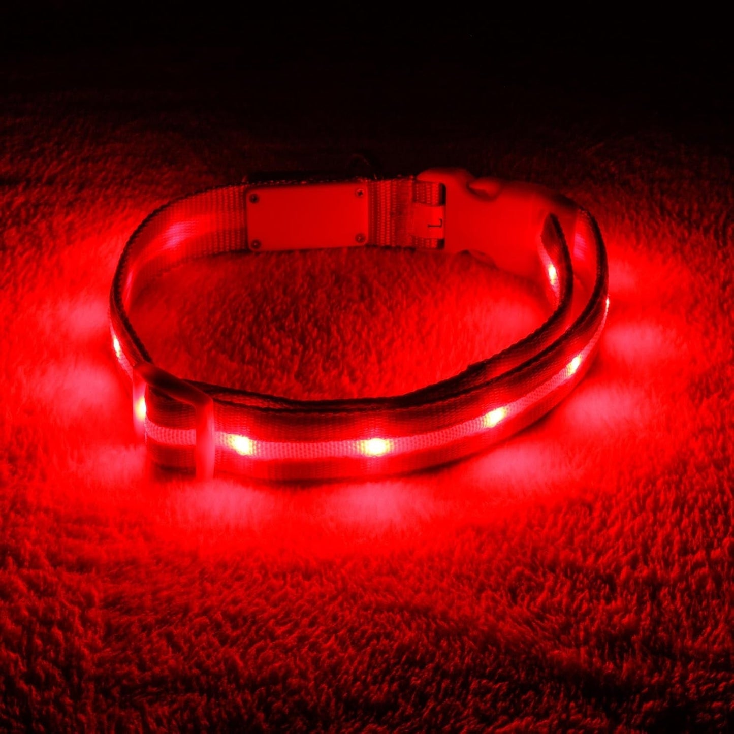 Brightest Light up Dog Collars - 1,000 Feet of Visibility - USB Rechargeable - Waterproof 