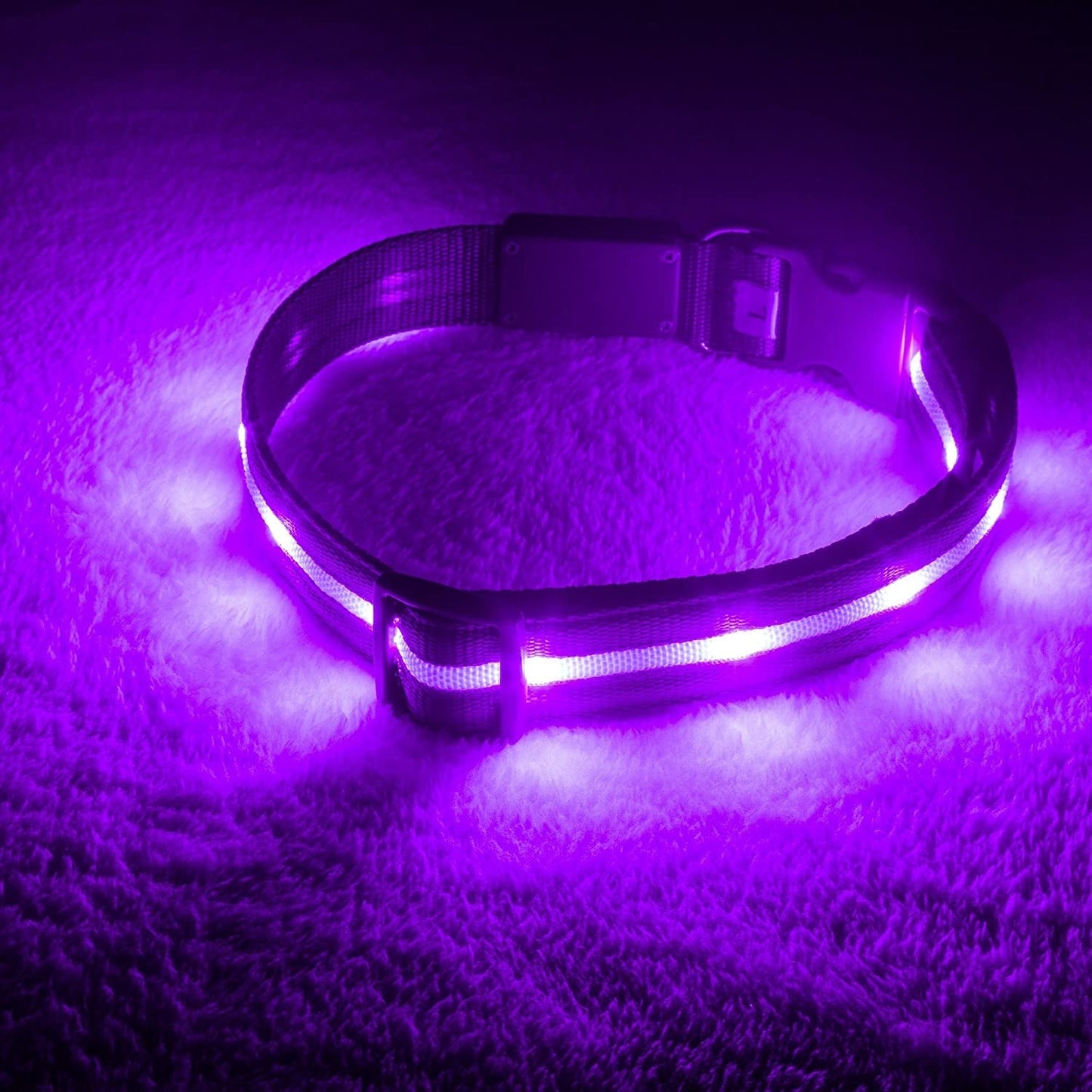 Brightest Light up Dog Collars - 1,000 Feet of Visibility - USB Rechargeable - Waterproof 