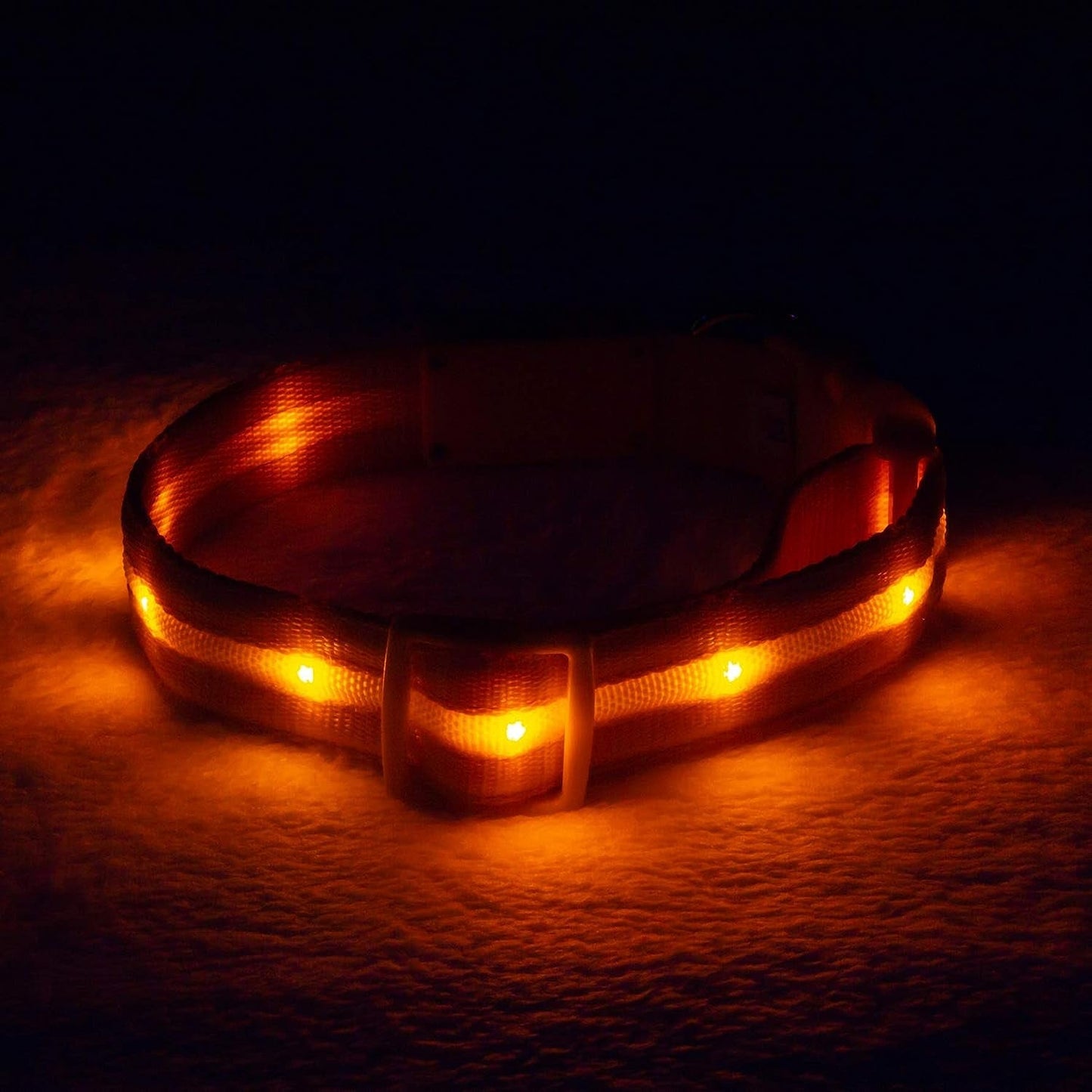 Brightest Light up Dog Collars - 1,000 Feet of Visibility - USB Rechargeable - Waterproof 